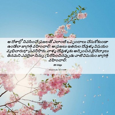 Picture 06 - నిర్గమకాండం 34:15 TELIRV - ఆ దేశాల్లో - Bible Verse Picture