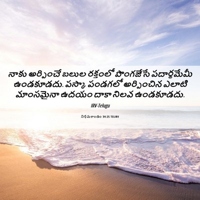 Picture 06 - నిర్గమకాండం 34:25 TELIRV - నాకు అర్పించే - Bible Verse Picture