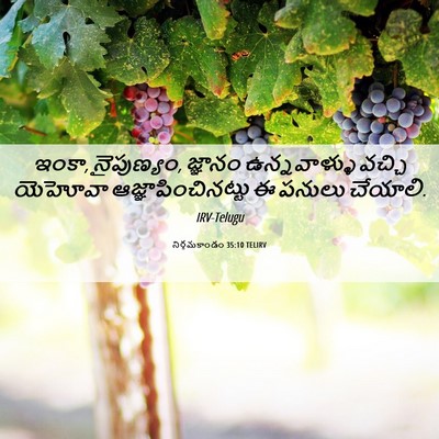 Picture 06 - నిర్గమకాండం 35:10 TELIRV - ఇంకా, నైపుణ్యం, - Bible Verse Picture
