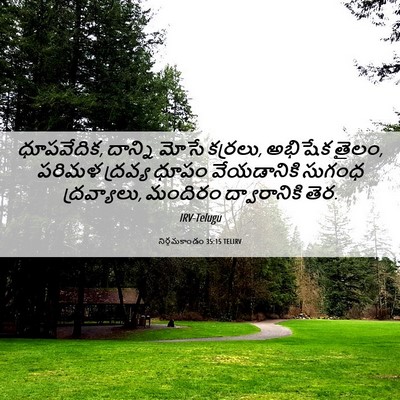Picture 06 - నిర్గమకాండం 35:15 TELIRV - ధూపవేదిక, దాన్ని - Bible Verse Picture
