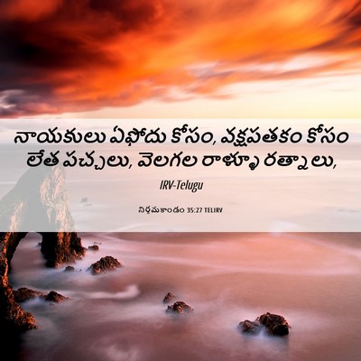 Picture 06 - నిర్గమకాండం 35:27 TELIRV - నాయకులు ఏఫోదు - Bible Verse Picture