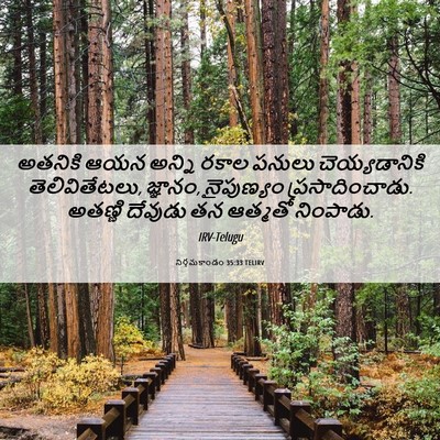 Picture 06 - నిర్గమకాండం 35:33 TELIRV - అతనికి ఆయన అన్ని - Bible Verse Picture