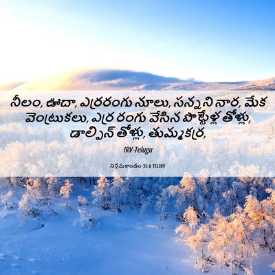 Picture 06 - నిర్గమకాండం 35:6 TELIRV - నీలం, ఊదా, ఎర్రరంగు - Bible Verse Picture