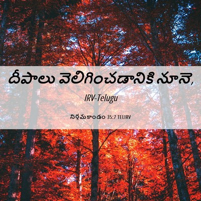 Picture 06 - నిర్గమకాండం 35:7 TELIRV - దీపాలు - Bible Verse Picture