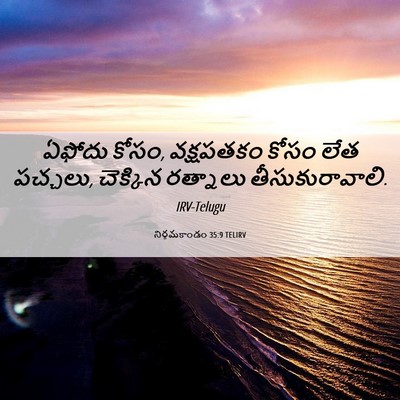 Picture 06 - నిర్గమకాండం 35:9 TELIRV - ఏఫోదు కోసం, - Bible Verse Picture