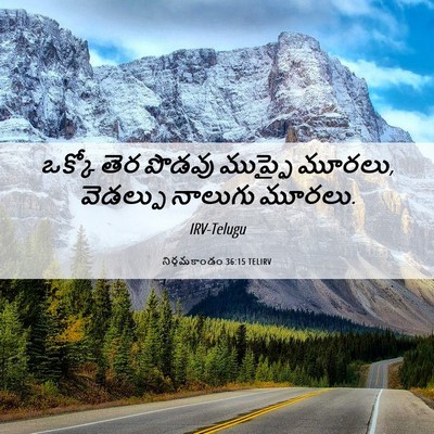 Picture 06 - నిర్గమకాండం 36:15 TELIRV - ఒక్కో తెర పొడవు - Bible Verse Picture