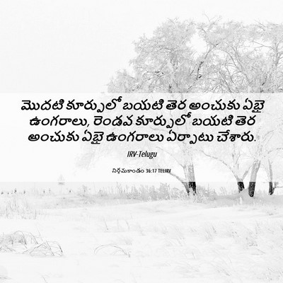 Picture 06 - నిర్గమకాండం 36:17 TELIRV - మొదటి కూర్పులో - Bible Verse Picture