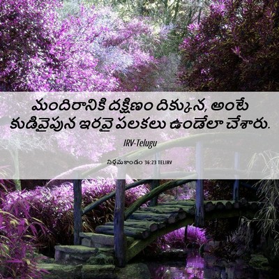 Picture 06 - నిర్గమకాండం 36:23 TELIRV - మందిరానికి - Bible Verse Picture