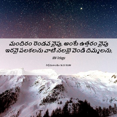 Picture 06 - నిర్గమకాండం 36:25 TELIRV - మందిరం రెండవ వైపు, - Bible Verse Picture