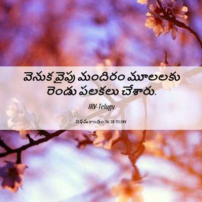 Picture 06 - నిర్గమకాండం 36:28 TELIRV - వెనుక వైపు మందిరం - Bible Verse Picture