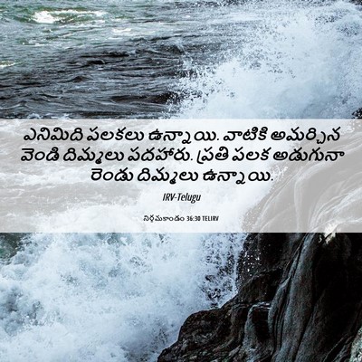 Picture 06 - నిర్గమకాండం 36:30 TELIRV - ఎనిమిది పలకలు - Bible Verse Picture