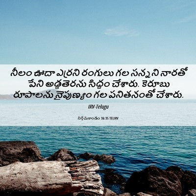 Picture 06 - నిర్గమకాండం 36:35 TELIRV - నీలం ఊదా ఎర్రని - Bible Verse Picture