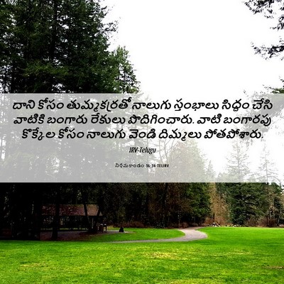 Picture 06 - నిర్గమకాండం 36:36 TELIRV - దాని కోసం - Bible Verse Picture