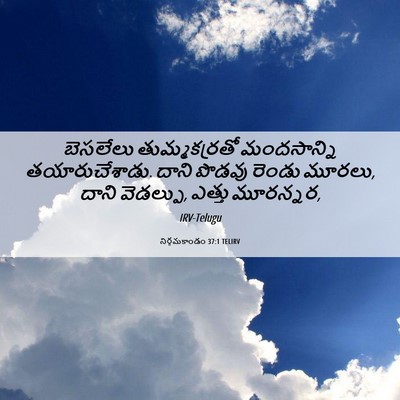 Picture 06 - నిర్గమకాండం 37:1 TELIRV - బెసలేలు - Bible Verse Picture