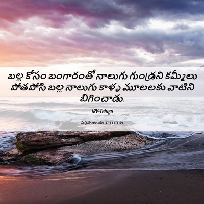 Picture 06 - నిర్గమకాండం 37:13 TELIRV - బల్ల కోసం - Bible Verse Picture