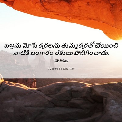 Picture 06 - నిర్గమకాండం 37:15 TELIRV - బల్లను మోసే - Bible Verse Picture