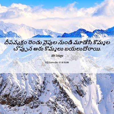 Picture 06 - నిర్గమకాండం 37:18 TELIRV - దీపవృక్షం రెండు - Bible Verse Picture