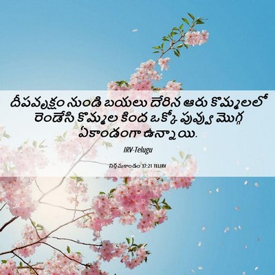 Picture 06 - నిర్గమకాండం 37:21 TELIRV - దీపవృక్షం నుండి - Bible Verse Picture
