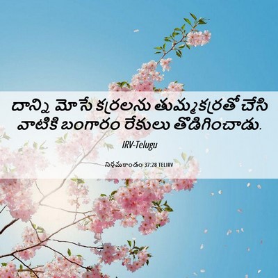 Picture 06 - నిర్గమకాండం 37:28 TELIRV - దాన్ని మోసే - Bible Verse Picture