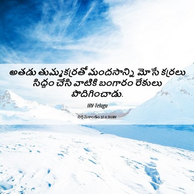 Picture 06 - నిర్గమకాండం 37:4 TELIRV - అతడు తుమ్మకర్రతో - Bible Verse Picture