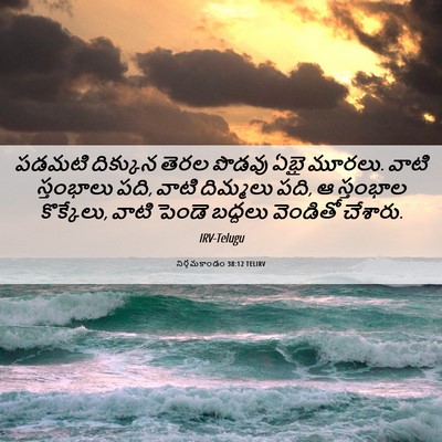Picture 06 - నిర్గమకాండం 38:12 TELIRV - పడమటి దిక్కున - Bible Verse Picture