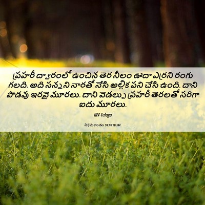 Picture 06 - నిర్గమకాండం 38:18 TELIRV - ప్రహరీ ద్వారంలో - Bible Verse Picture