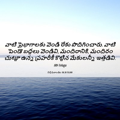 Picture 06 - నిర్గమకాండం 38:20 TELIRV - వాటి పైభాగాలకు - Bible Verse Picture