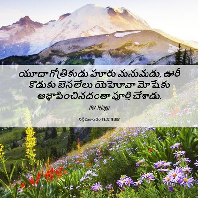 Picture 06 - నిర్గమకాండం 38:22 TELIRV - యూదా గోత్రికుడు - Bible Verse Picture