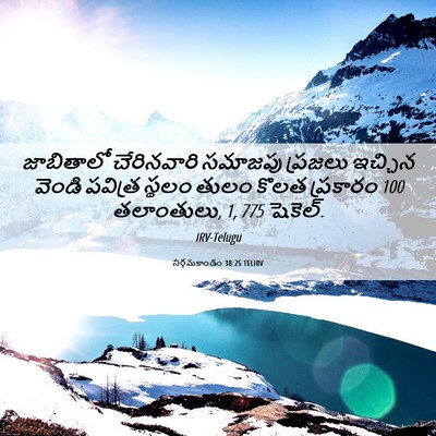 Picture 06 - నిర్గమకాండం 38:25 TELIRV - జాబితాలో - Bible Verse Picture