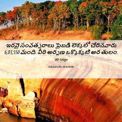 Picture 06 - నిర్గమకాండం 38:26 TELIRV - ఇరవై సంవత్సరాలు - Bible Verse Picture