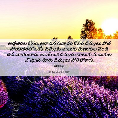 Picture 06 - నిర్గమకాండం 38:27 TELIRV - అడ్డతెరల కోసం, - Bible Verse Picture