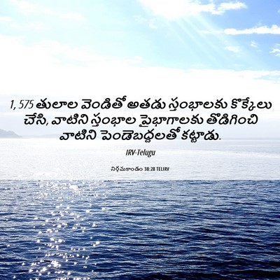 Picture 06 - నిర్గమకాండం 38:28 TELIRV - 1, 575 తులాల వెండితో - Bible Verse Picture