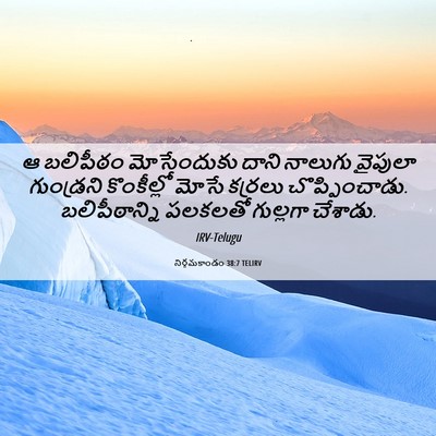 Picture 06 - నిర్గమకాండం 38:7 TELIRV - ఆ బలిపీఠం - Bible Verse Picture