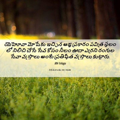 Picture 06 - నిర్గమకాండం 39:1 TELIRV - యెహోవా మోషేకు - Bible Verse Picture