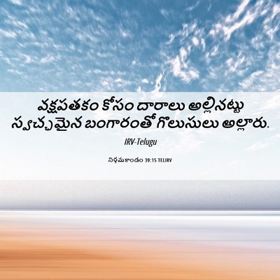 Picture 06 - నిర్గమకాండం 39:15 TELIRV - వక్షపతకం కోసం - Bible Verse Picture