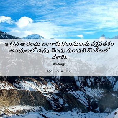 Picture 06 - నిర్గమకాండం 39:17 TELIRV - అల్లిన ఆ రెండు - Bible Verse Picture