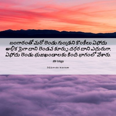 Picture 06 - నిర్గమకాండం 39:20 TELIRV - బంగారంతో మరో - Bible Verse Picture
