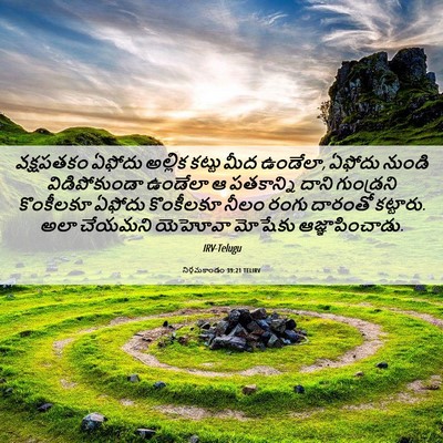 Picture 06 - నిర్గమకాండం 39:21 TELIRV - వక్షపతకం ఏఫోదు - Bible Verse Picture