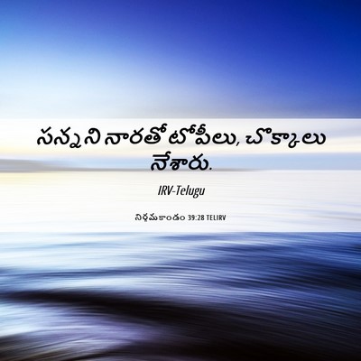 Picture 06 - నిర్గమకాండం 39:28 TELIRV - సన్నని నారతో - Bible Verse Picture
