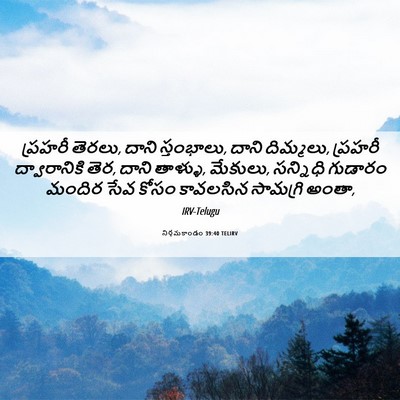 Picture 06 - నిర్గమకాండం 39:40 TELIRV - ప్రహరీ తెరలు, దాని - Bible Verse Picture