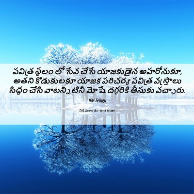 Picture 06 - నిర్గమకాండం 39:41 TELIRV - పవిత్ర స్థలం లో - Bible Verse Picture