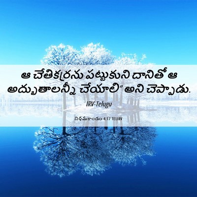 Picture 06 - నిర్గమకాండం 4:17 TELIRV - ఆ చేతికర్రను - Bible Verse Picture