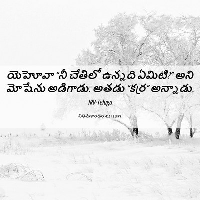 Picture 06 - నిర్గమకాండం 4:2 TELIRV - యెహోవా “నీ చేతిలో - Bible Verse Picture