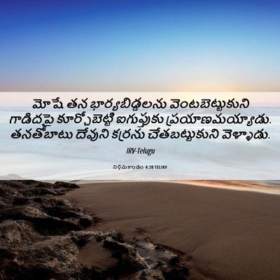 Picture 06 - నిర్గమకాండం 4:20 TELIRV - మోషే తన - Bible Verse Picture