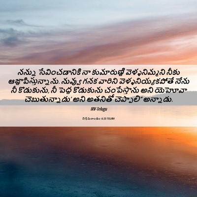 Picture 06 - నిర్గమకాండం 4:23 TELIRV - నన్ను - Bible Verse Picture