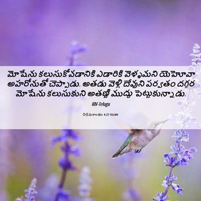 Picture 06 - నిర్గమకాండం 4:27 TELIRV - మోషేను - Bible Verse Picture