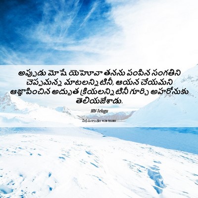 Picture 06 - నిర్గమకాండం 4:28 TELIRV - అప్పుడు మోషే - Bible Verse Picture