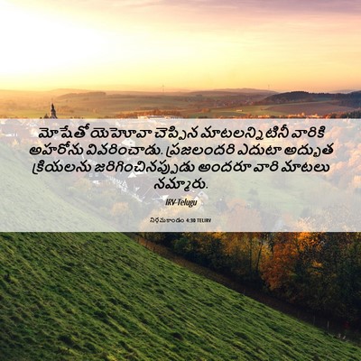 Picture 06 - నిర్గమకాండం 4:30 TELIRV - మోషేతో యెహోవా - Bible Verse Picture
