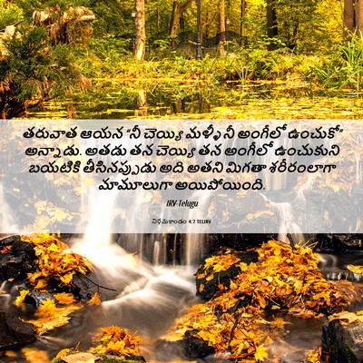 Picture 06 - నిర్గమకాండం 4:7 TELIRV - తరువాత ఆయన “నీ - Bible Verse Picture