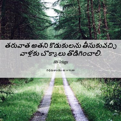 Picture 06 - నిర్గమకాండం 40:14 TELIRV - తరువాత అతని - Bible Verse Picture